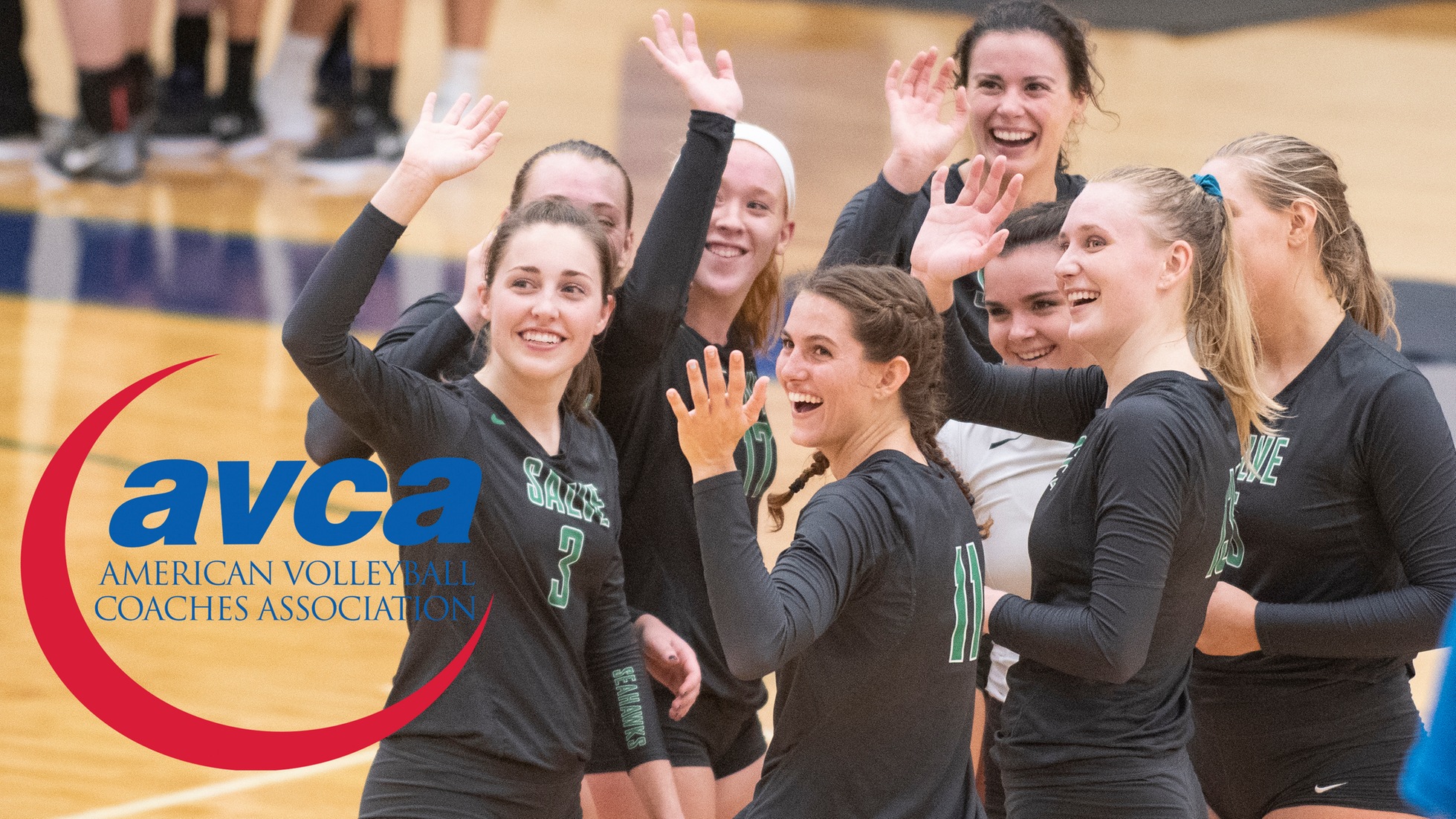 The Salve Regina University women's volleyball team was named by the American Volleyball Coaches Association (AVCA) on Monday for the 2018-19 AVCA Team Academic Award.