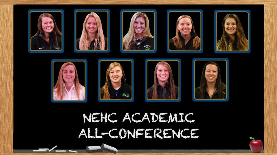 Nine Seahawks make NEHC Academic All-Conference