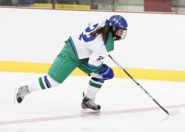 Sophomore Danielle Phalon has been named to the New England Writers Division II/III Women's Ice Hockey all star team.